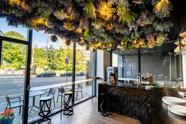 Imperial Pizza | Liberec | Galerie 21